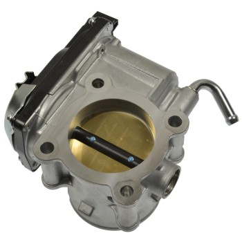 Fuel Injection Throttle Body