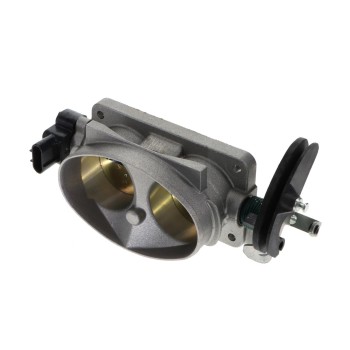 Fuel Injection Throttle Body