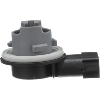 Brake Light Socket