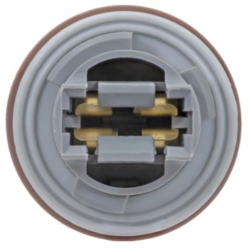 Back Up Light Socket