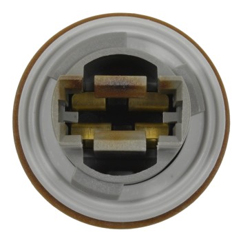 Brake Light Socket