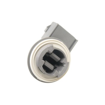 Back Up Light Socket
