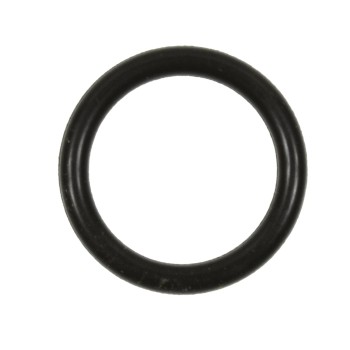 Fuel Injection Pressure Regulator O-Ring
