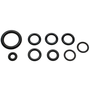 Fuel Injection Fuel Rail O-Ring Kit