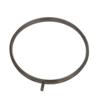 Fuel Injection Throttle Body Mounting Gasket
