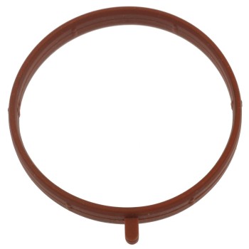 Fuel Injection Throttle Body Mounting Gasket
