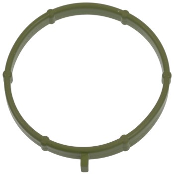 Fuel Injection Throttle Body Mounting Gasket