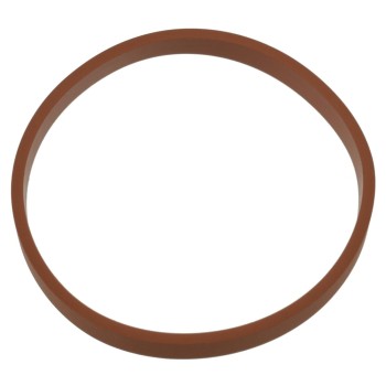 Exhaust Gas Recirculation (EGR) Valve Gasket