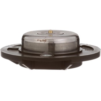 Engine Variable Valve Timing (VVT) Adjuster Magnet