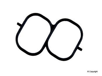 Fuel Injection Plenum Gasket