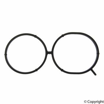 Fuel Injection Plenum Gasket