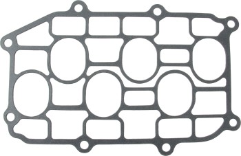 Fuel Injection Plenum Gasket