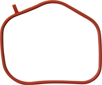 Fuel Injection Plenum Gasket