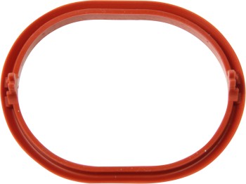 Fuel Injection Plenum Gasket