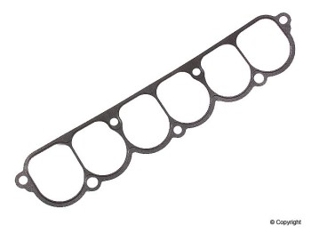 Fuel Injection Plenum Gasket