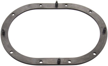 Fuel Pump Tank Seal