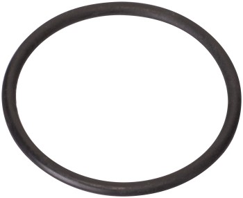 Fuel Pump Tank Seal