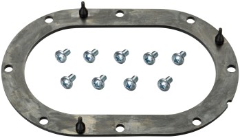 Fuel Pump Tank Seal