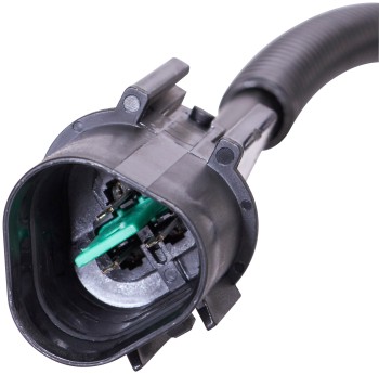 Engine Crankshaft Position Sensor