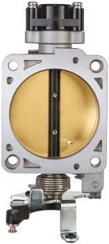 Fuel Injection Throttle Body Assembly