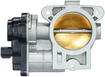 Fuel Injection Throttle Body Assembly