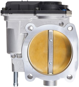 Fuel Injection Throttle Body Assembly