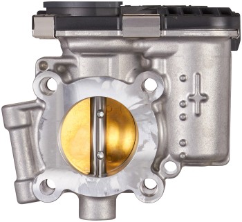 Fuel Injection Throttle Body Assembly