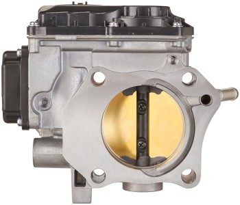 Fuel Injection Throttle Body Assembly