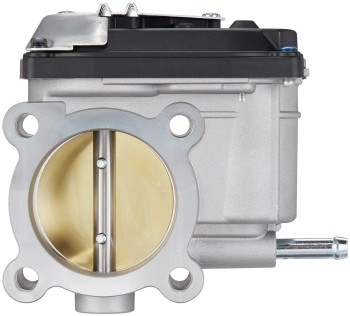 Fuel Injection Throttle Body Assembly