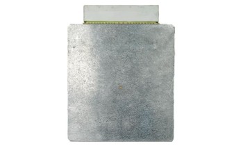 Engine Control Module