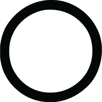 Engine Coolant Thermostat Seal