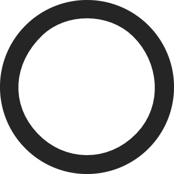 Engine Coolant Thermostat Seal