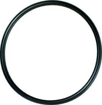 Engine Coolant Thermostat Seal
