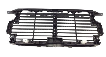 Grille Air Intake