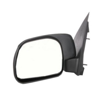 Door Mirror