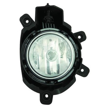 Fog Light Assembly