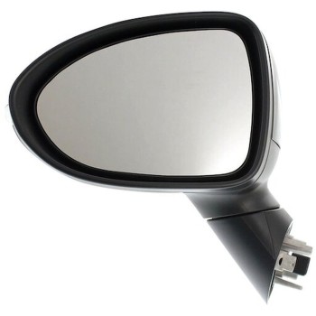 Door Mirror