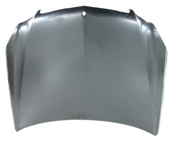 Hood Panel Assembly