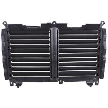 Grille Air Intake