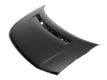 Hood Panel Assembly