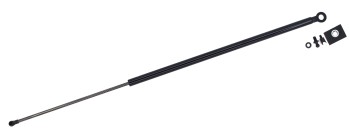 Trunk Lid Lift Support