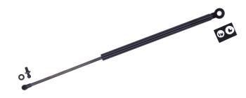 Trunk Lid Lift Support