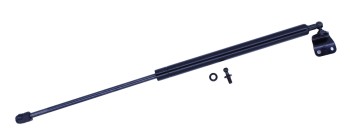 Trunk Lid Lift Support