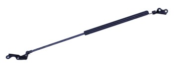 Liftgate Lift Support