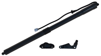 Liftgate Lift Support