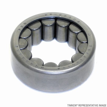 Differential Pinion Bearing