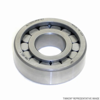 Differential Pinion Bearing