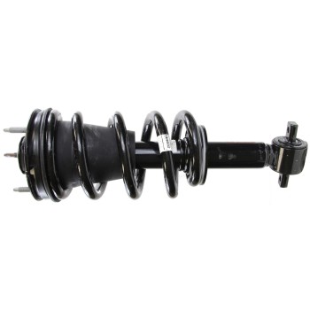 Suspension Strut and Coil Spring Assembly
