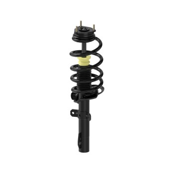Suspension Strut and Coil Spring Assembly
