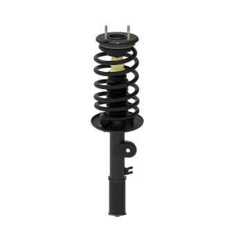 Suspension Strut and Coil Spring Assembly